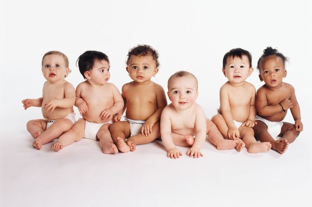 six-babies-18-21-months-sitting-on-the-floor-portrait